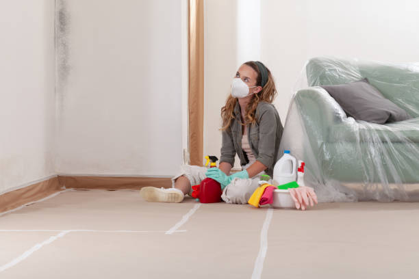 Reliable Mold Remediation contractor in Byron Center, MI by Mold Remediation HQ